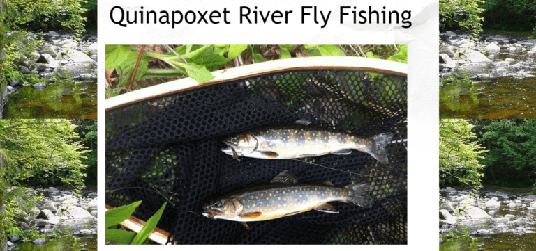 Quinapoxet River Fly Fishing Blog