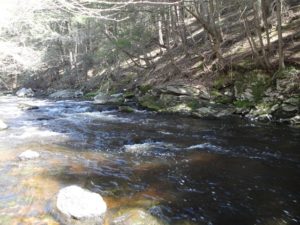 Fly fishing in the Swift River in Belchertown, MA : r/flyfishing