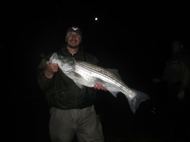Night Fly Fishing for Stripers: Part 1 –