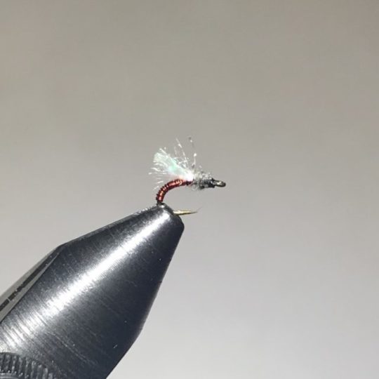 At the Vise: Top Secret Midge and Red Brassie –