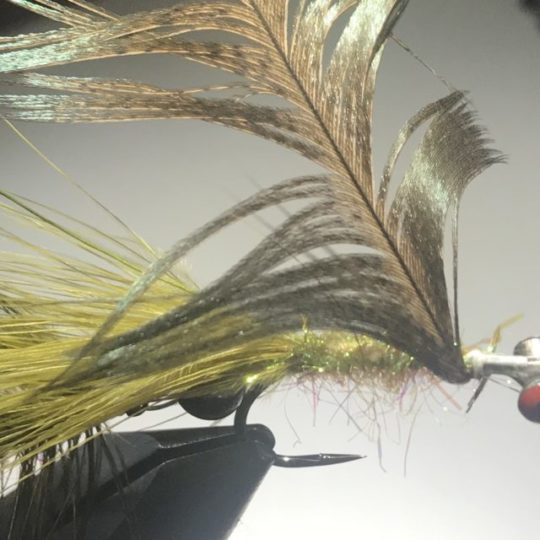 A Great Streamer for Trout: The JT Special –
