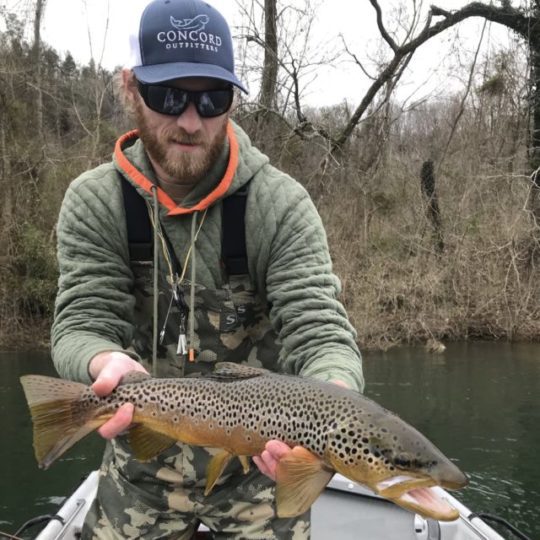 The White River's Big Brown Trout –