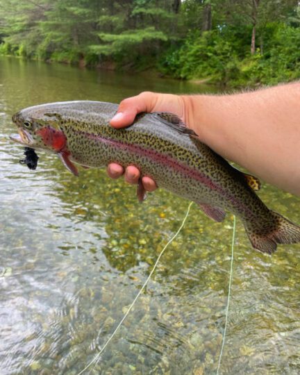 Fun Trout Streamers to Fish This Fall –