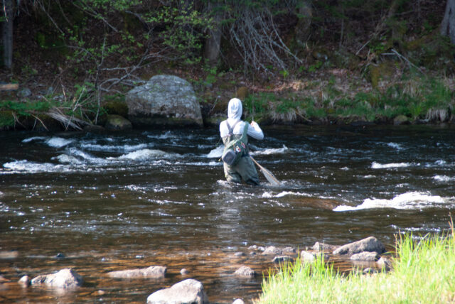 Fly Fishing in Maine: February and March– All Points Fly Shop +
